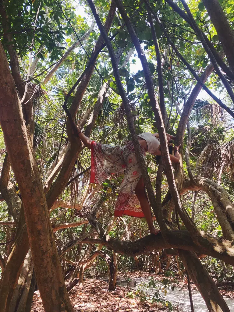 Carolina posing in and balancing on a tree